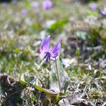 7bb4b668eb0f9b3c5cd299002cff5f