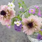 アネモネ・アンアリス 花あしらい