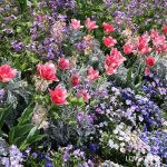 ガーデンネックレス横浜