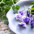 女の子の名前におすすめ!かわいい花の名前一覧を花言葉とともに|春編