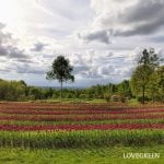 他記事に使用不可 十勝ヒルズ