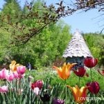 他記事使用不可 上野ファーム