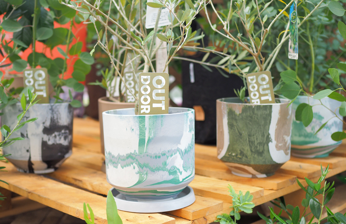 環境配慮型のエコ植木鉢たち