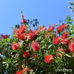 d9eb84347084f9b2774e11234ce77a