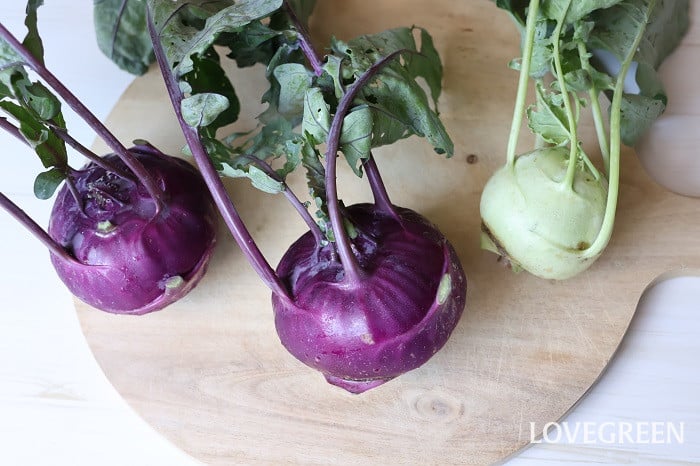 コールラビ コールラビ レシピ 調理方法 食べ方 栄養