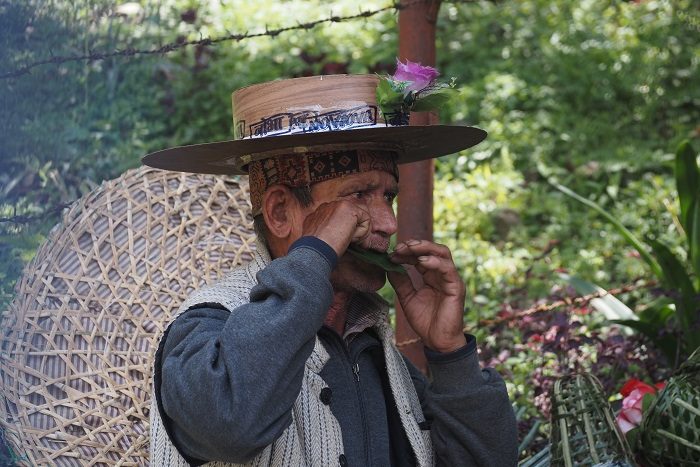 野草研究家　山下智道の世界の文化と植物紀行　ネパールで伝承されるシャーマニズムと、チョウセンアサガオの種子　幻覚・幻聴作用