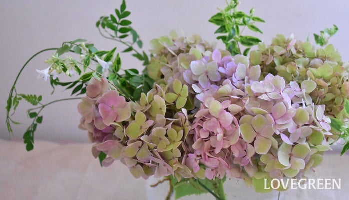 剪定したアジサイで作る花あしらい|育てた花を切り花に