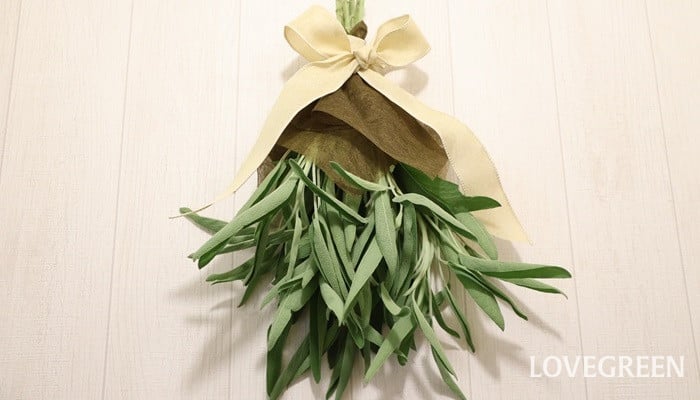 セージ コモンセージ セージ コモンセージ