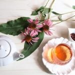 エキナセア ハーブティー 作り方 育て方