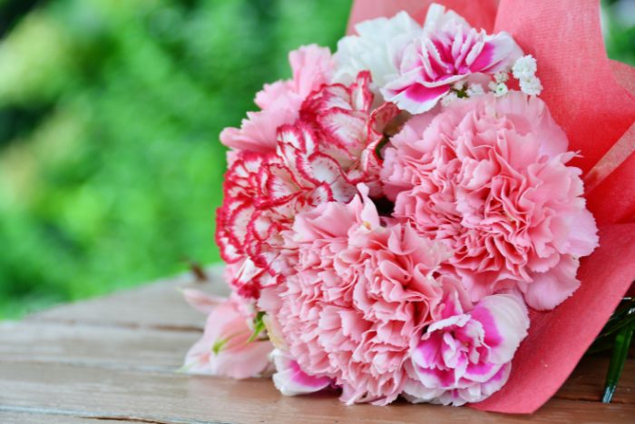 Canva画像　カーネーション