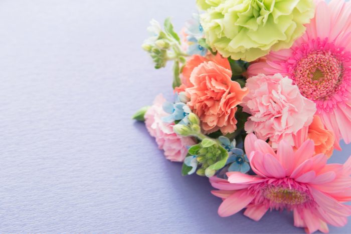 Canva画像　カーネーション