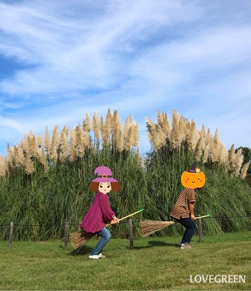 神代植物公園