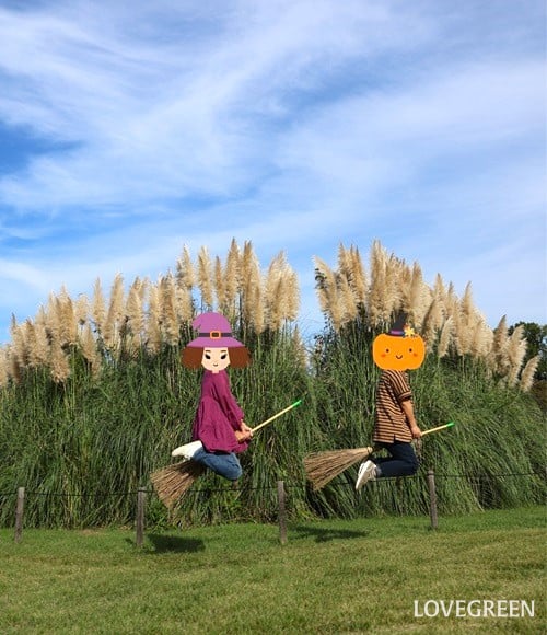 神代植物公園