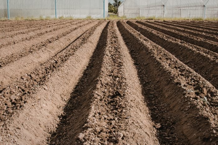 Canva画像　畑の土　土