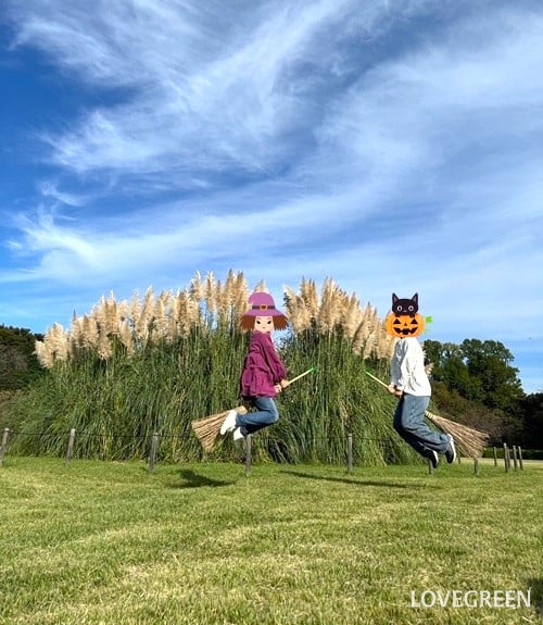 神代植物公園