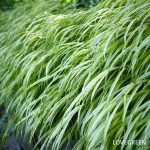 976f680f4ead91c7a24ba0b8e17bb7