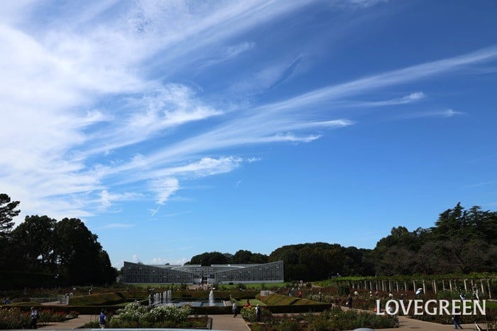 神大植物公園