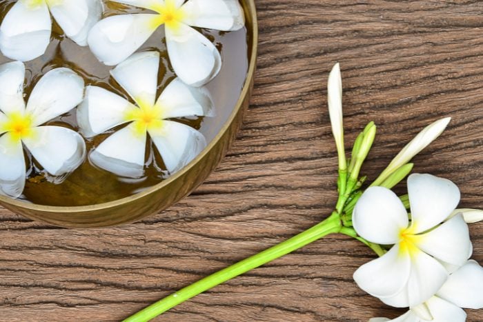 プルメリア Canva画像