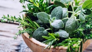 pic_library_cat_04_herb-1-