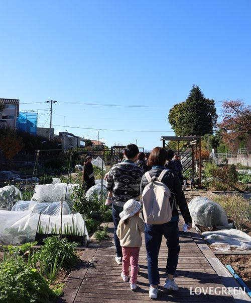 アグリス成城　さつまいも堀りイベント