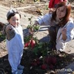 アグリス成城 さつまいも堀りイベント