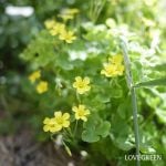 f318984e24de30ccbf62f17f428866