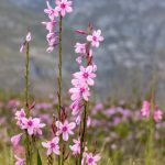 05a66542f3b0a8fbd71d4fdbfa905c