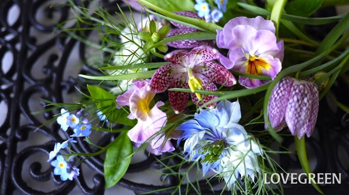 1月、2月、3月の切り花|春の花屋さんは幸せいっぱい