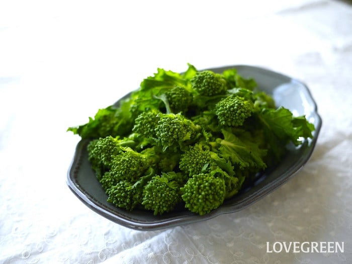 菜の花2小 菜の花