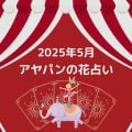 アヤパンの花占い
