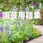 園芸用語集