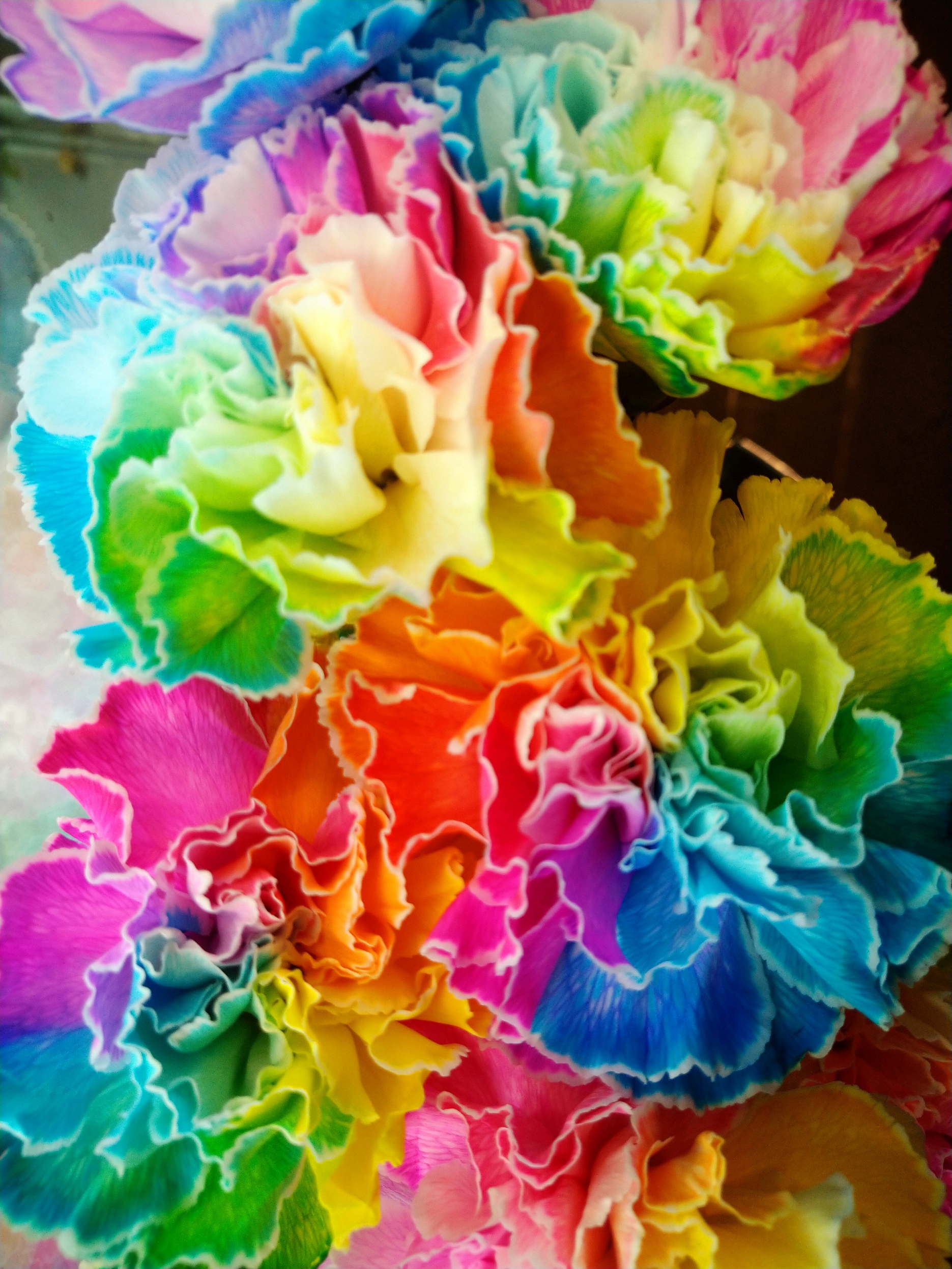 shop_pictuer_2