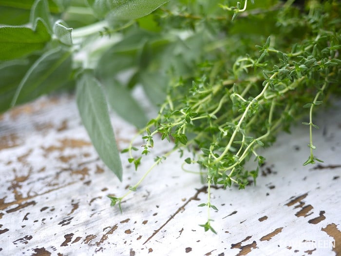ハーブが虫除けになる理由