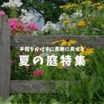 2025夏の庭特集