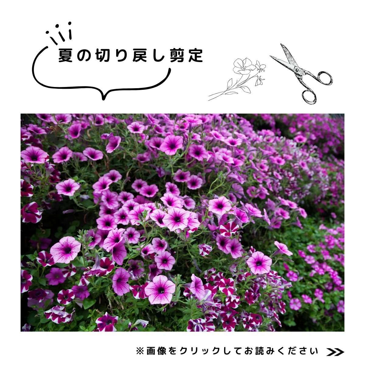 2025特集夏庭