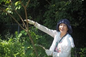 あの人の庭①｜人と人が交わる実験花壇「百庭」