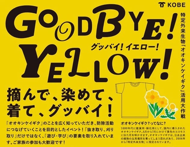 他記事使用不可　神戸松蔭大学
