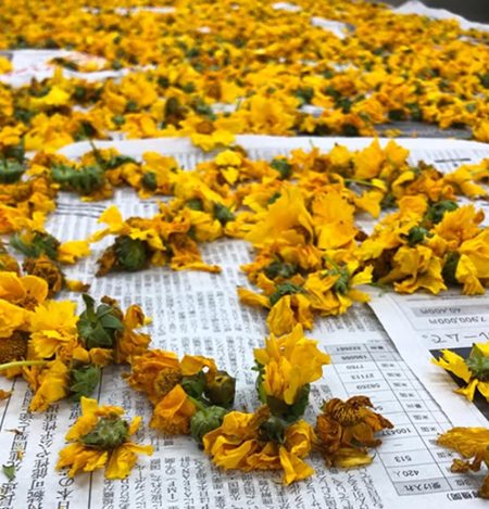 他記事使用不可　神戸松蔭大学