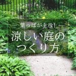 特集　涼しい庭のつくり方