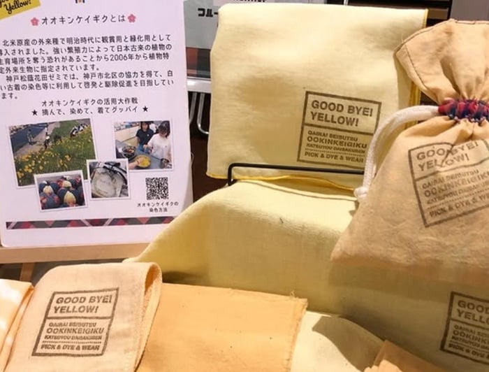 他記事使用不可　神戸松蔭大学