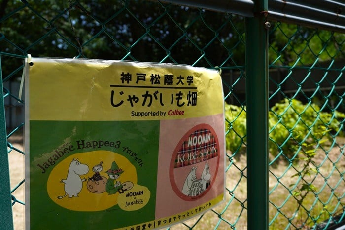 ムーミン×Calbee×神戸松蔭大学
