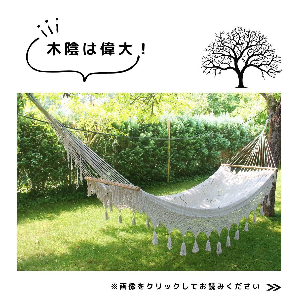 特集　木陰