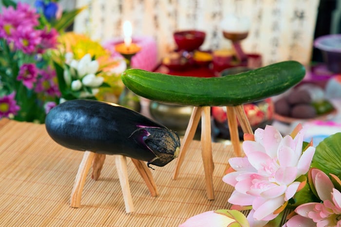 adobeキュウリの馬とナスの牛(精霊馬)