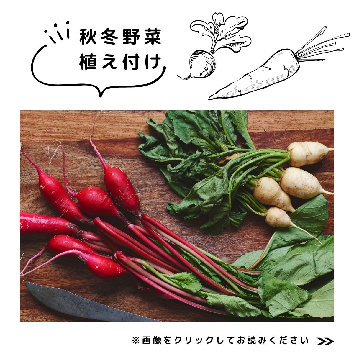 2025　秋の園芸特集