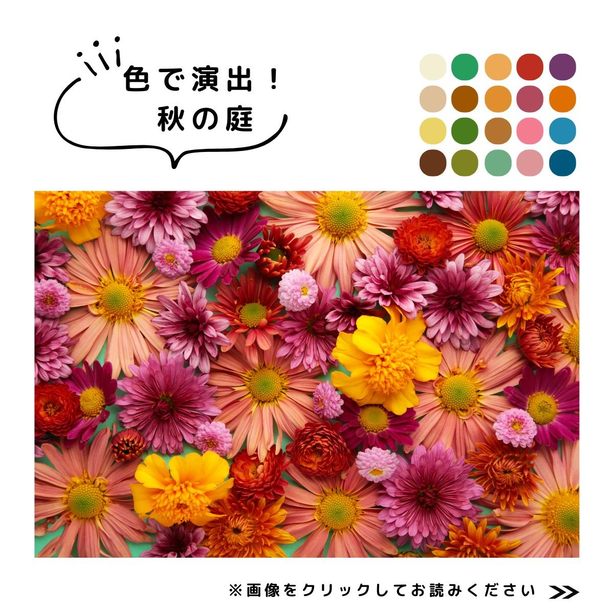 2025秋の園芸特集