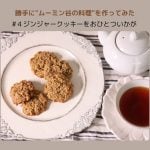 ムーミン谷の料理　ジンジャークッキー