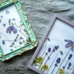 押し花アート|おしゃれで簡単な作り方