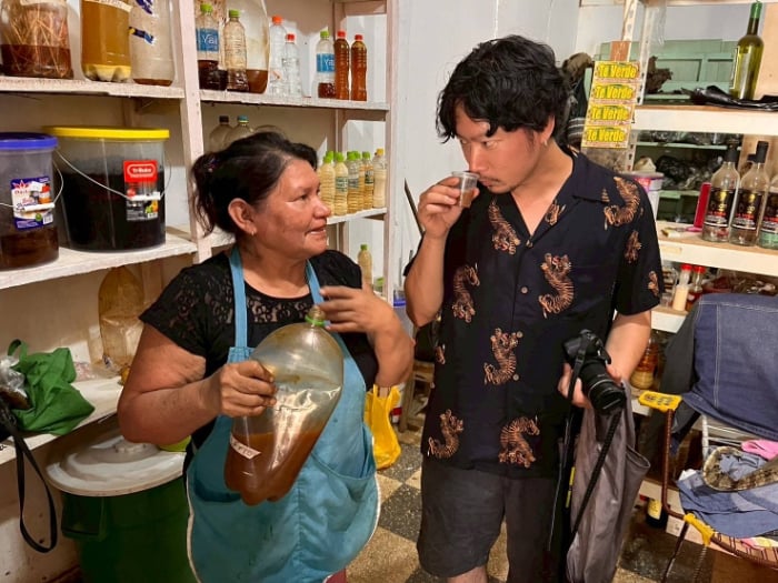  アマゾン先住民の傷薬コパイバ マリマリ｜山下智道の世界の文化と植物紀行