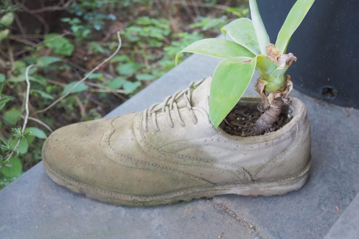 庭づくり　植栽　あの人の庭③｜スコップひとつで育んだ森のような庭　botanical.0715