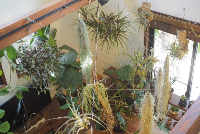 庭づくり　植栽　あの人の庭③｜スコップひとつで育んだ森のような庭　botanical.0715